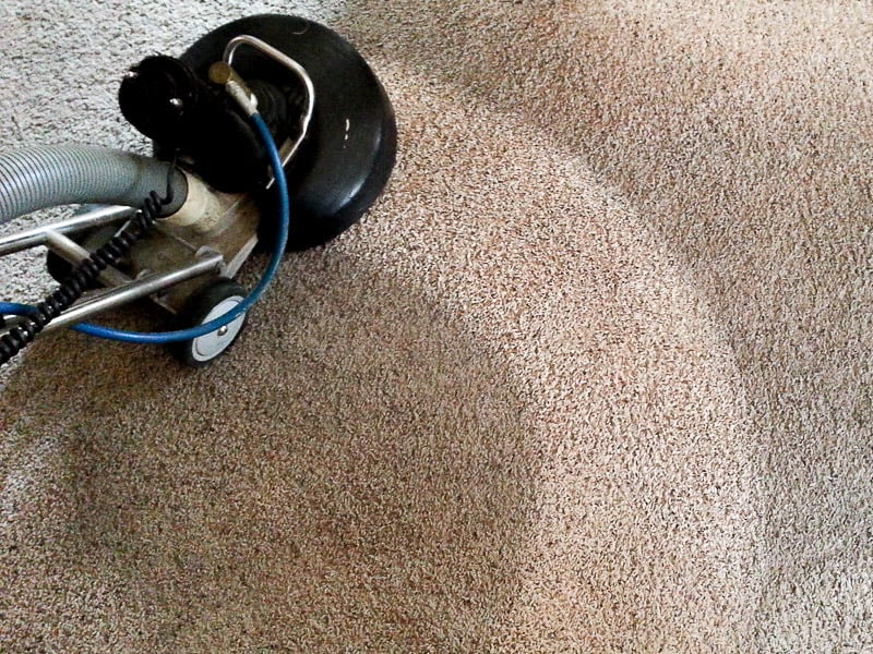 best carpet cleaners