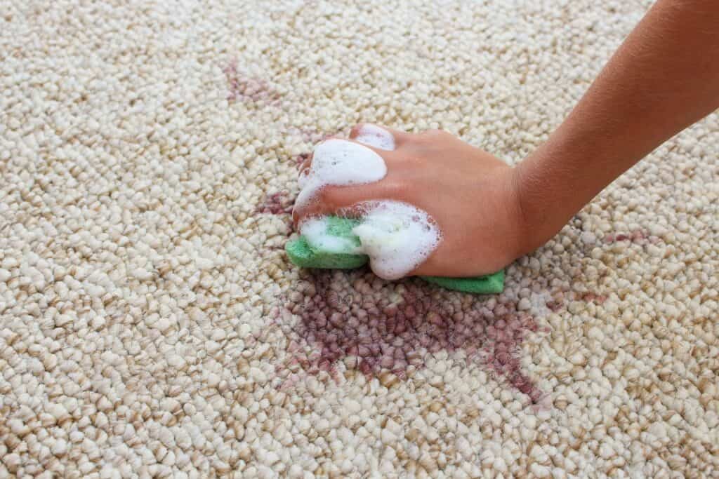 rug cleaning services